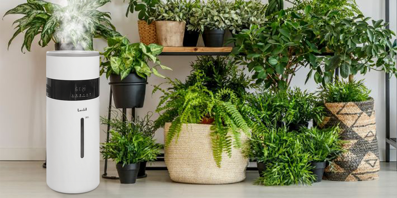 Best Spots for Your Humidifier When Sick