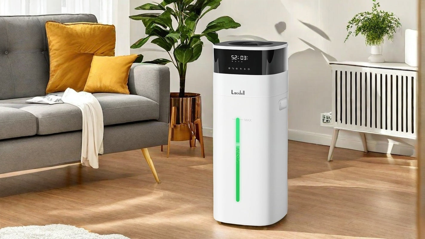 Humidifier Maintenance Tips for the New Season