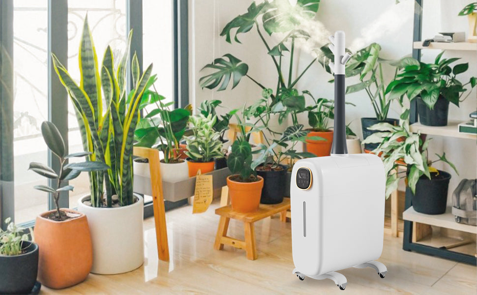 What Type of Water Should You Use in a Humidifier? Tap, Distilled, or Bottled?