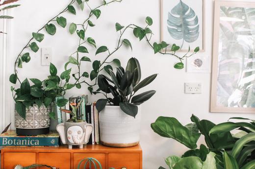 Why humidifiers can help with allergies?