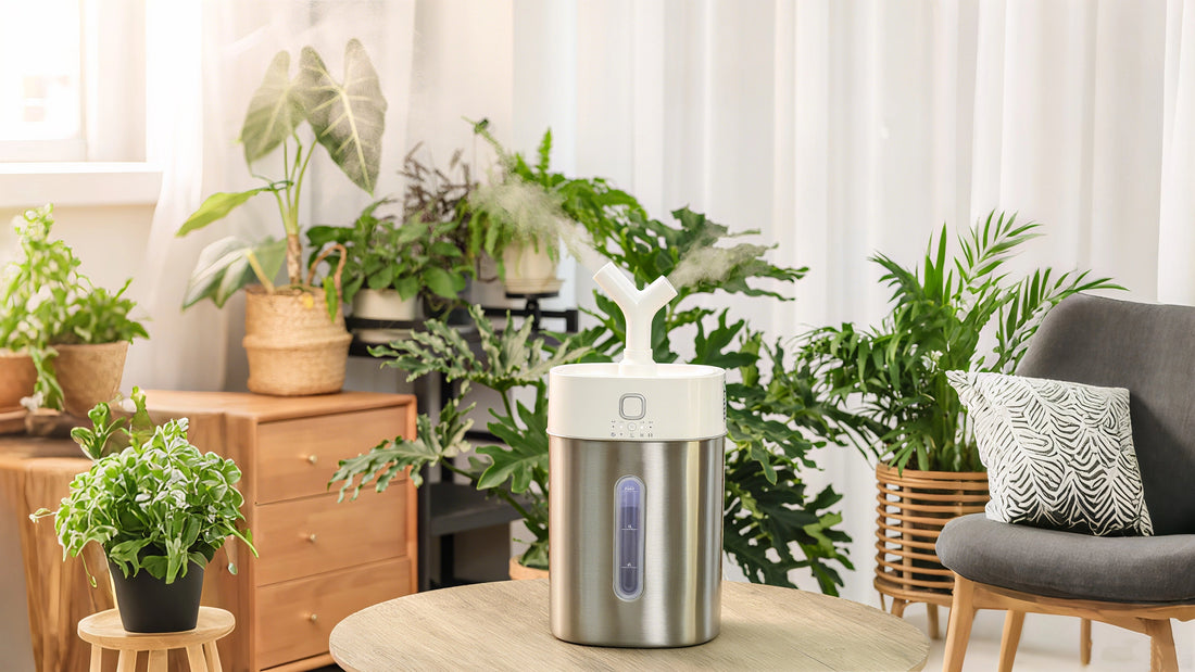When and How Often Should You Use a Humidifier?