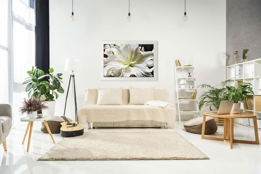 The Best Humidifier for Babies, Plants, and Every Unique Need