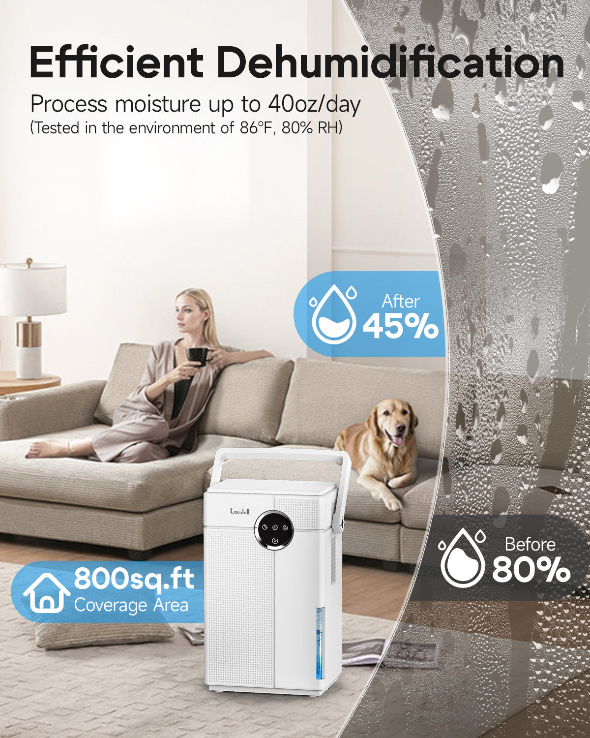 Small Dehumidifier with Drain Hose for Bathroom & Bedroom, 118oz | 07 | Lacidoll