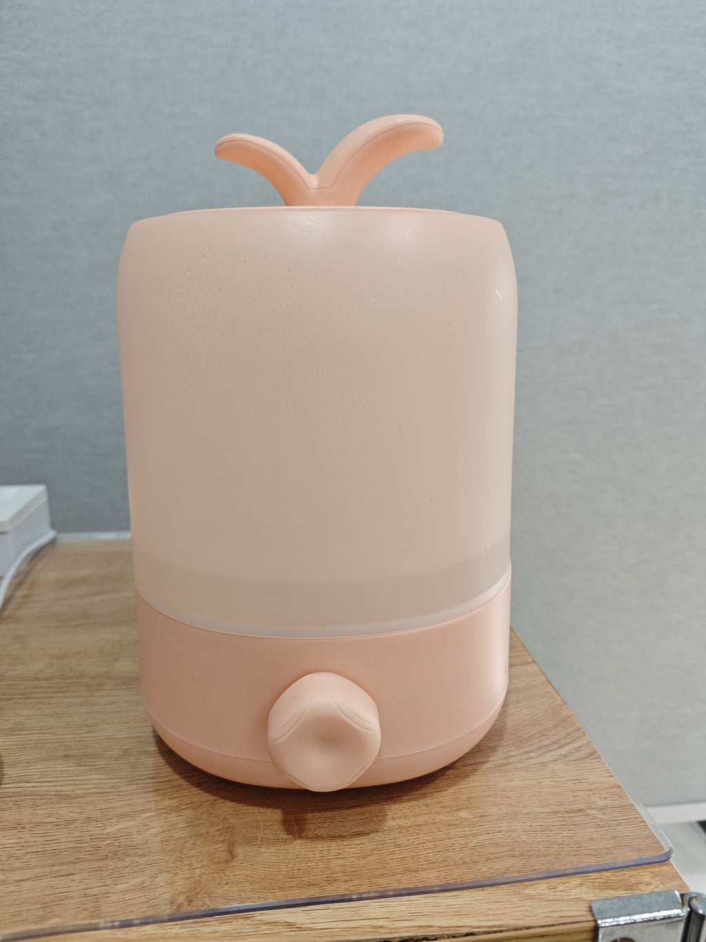 Cool Mist Humidifier for Bedroom | 2604M