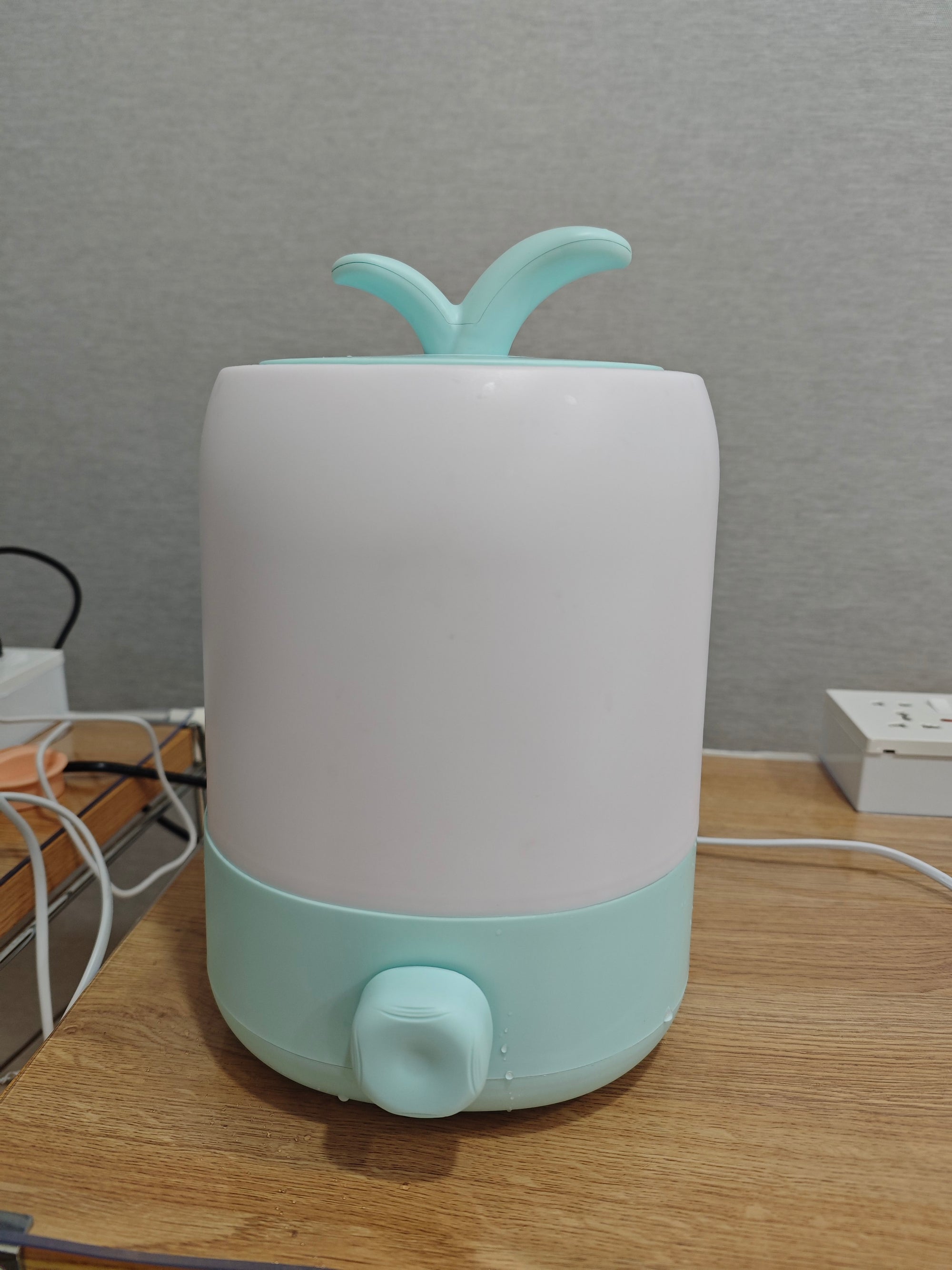 Cool Mist Humidifier for Bedroom | 2604M